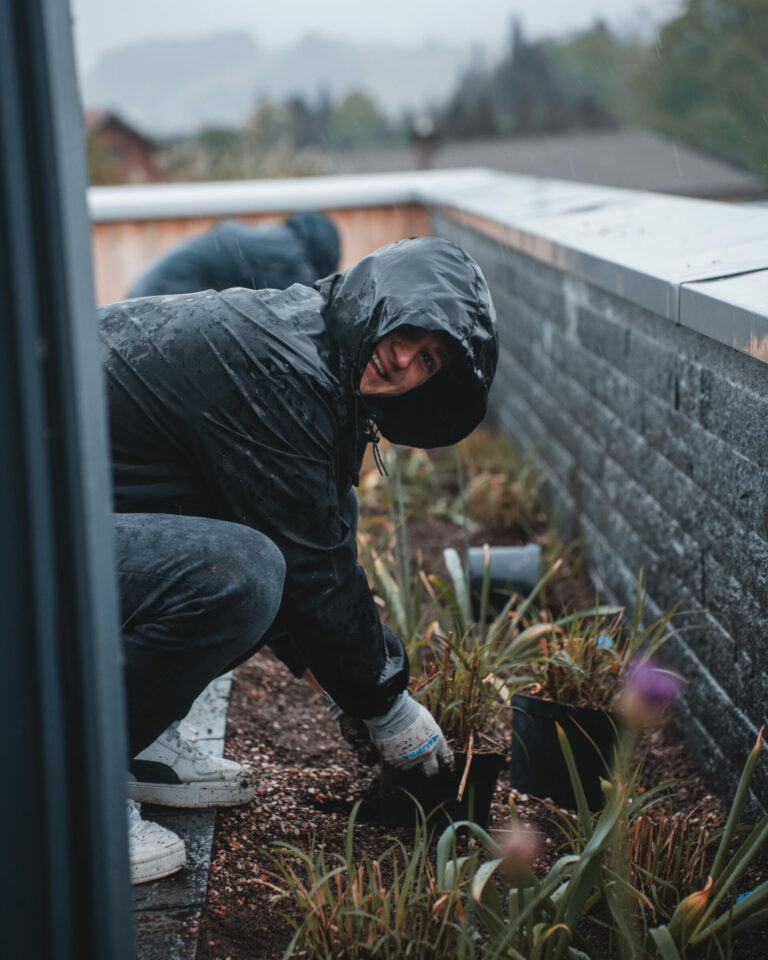 ed dachgartenbepflanzung socialmedia 1