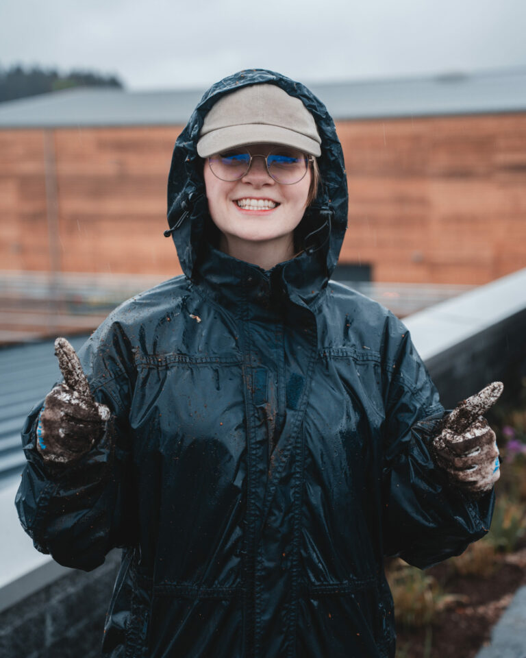 ed dachgartenbepflanzung socialmedia 3