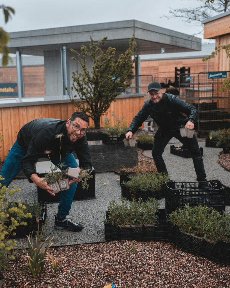 ed dachgartenbepflanzung socialmedia 4