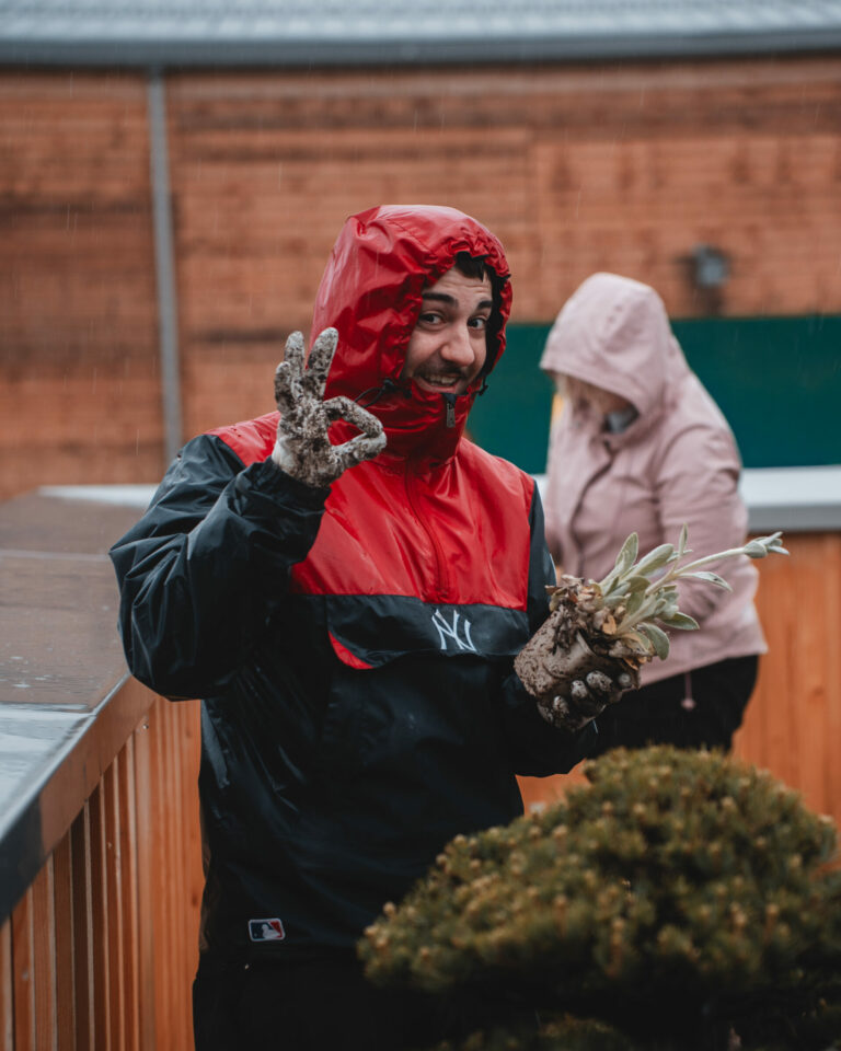 ed dachgartenbepflanzung socialmedia 5