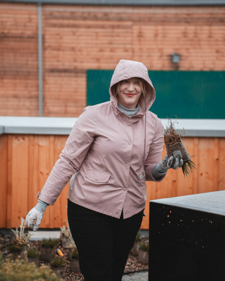 ed dachgartenbepflanzung socialmedia 6