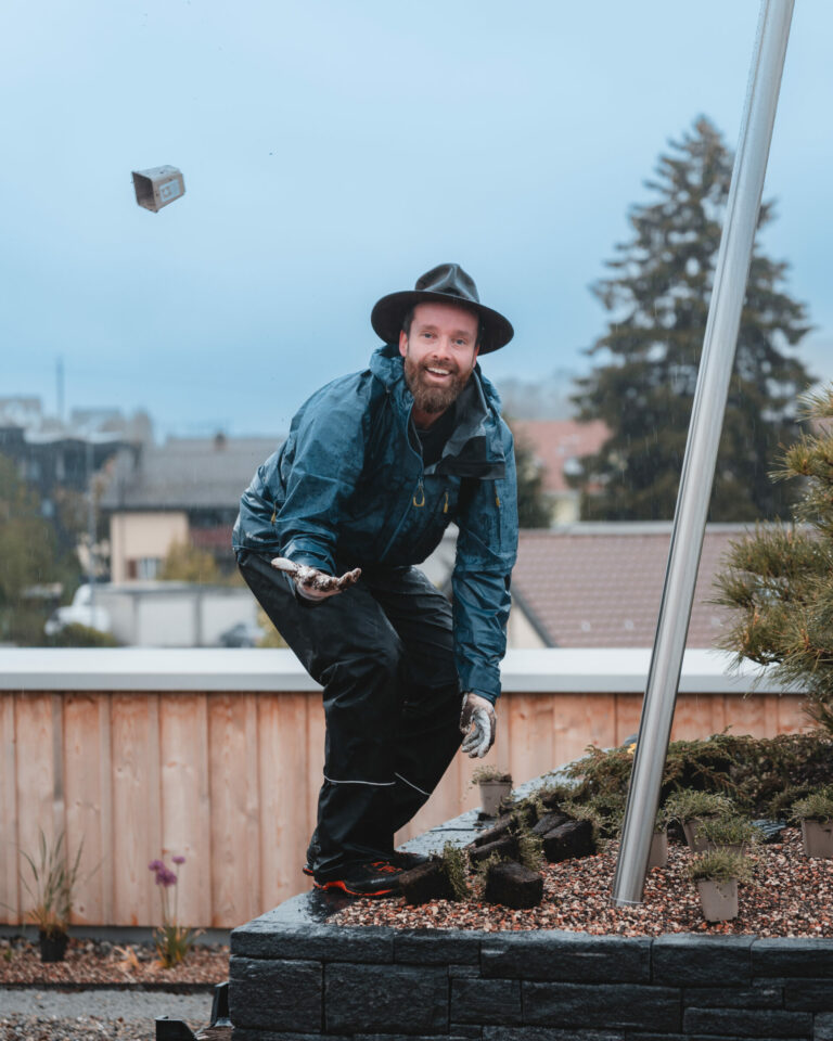 ed dachgartenbepflanzung socialmedia