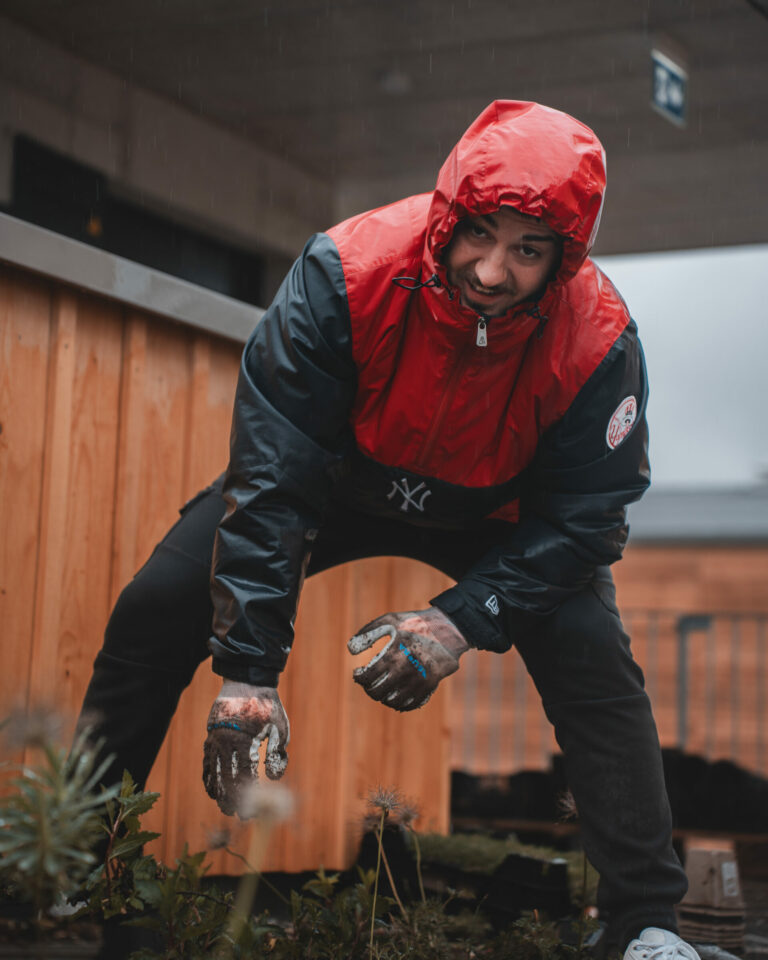 ed dachgartenbepflanzung socialmedia 8