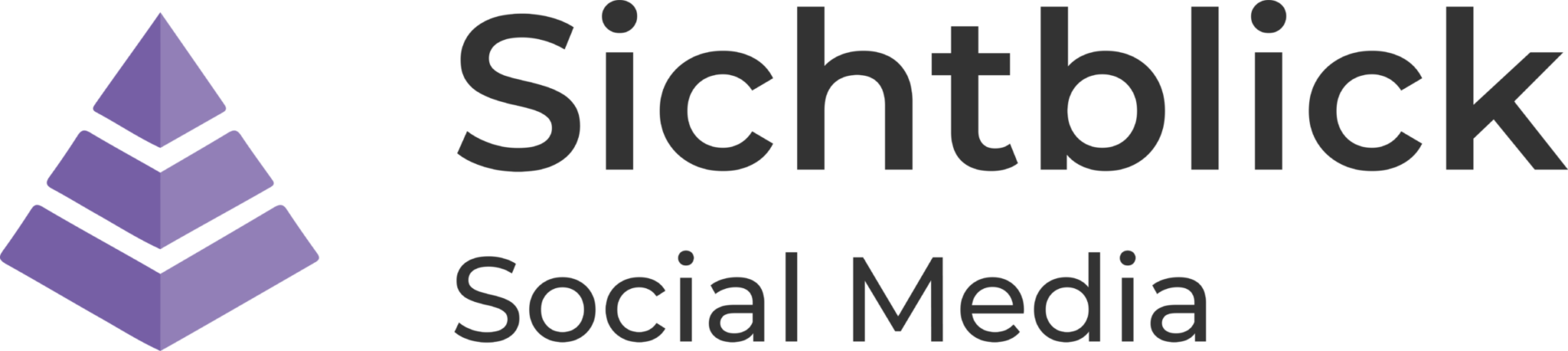 sichtblick logo transparent